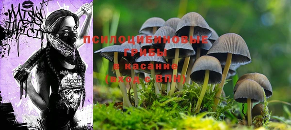мяу мяу мука Арсеньев