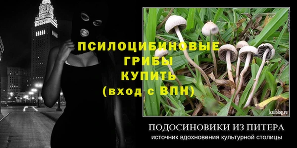 прущие крисы Балахна