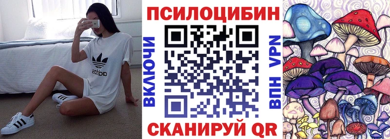 Галлюциногенные грибы Psilocybe купить наркоту Бакал